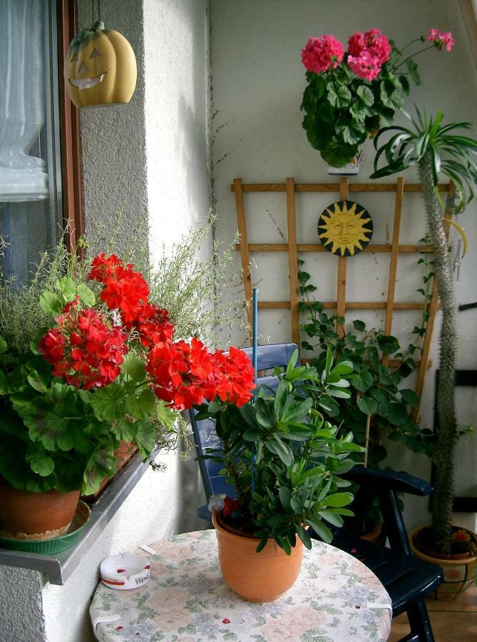 2-Zimmer-Ferienwohnung "Garten Der Welt" Berlin Bagian luar foto